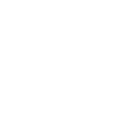 The Stam Group logo